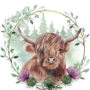 Meet your Posher, Carey